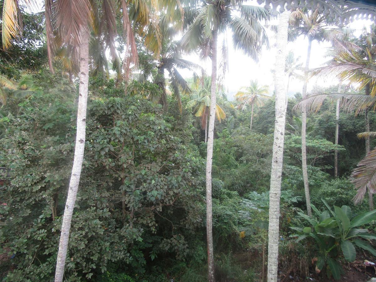 Blue Wave Resort Varkala Exterior photo
